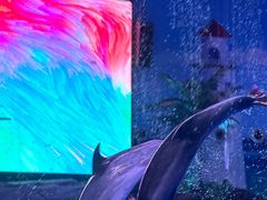 -海合安武汉极地海洋公园