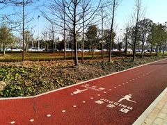 -上海山野camping·户外天幕烧烤·团建拓展营地
