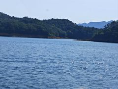 -千岛湖东南湖区