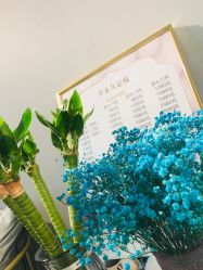 -悦美国际半永久纹眉纹绣