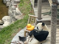 -大连森林动物园