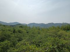 -陶祖圣境风景区