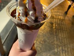 红油辣椒冰淇淋-麦丽丝红油辣椒冰淇淋(江家巷店)