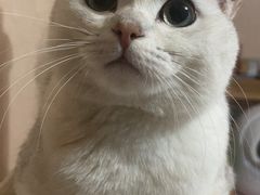 -宠颐生中康贝怡动物医院