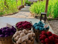 -大象粑粑造纸公园