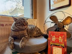 -正阳书局(西四南大街店)
