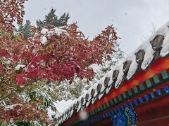 -月坛公园