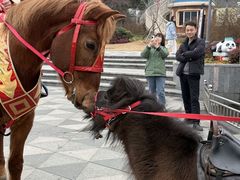 -无锡动物园·太湖欢乐园