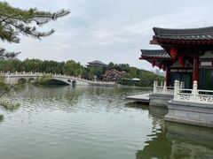 -唐御宴•御宴宫•唐代菜点(芙蓉西路店)