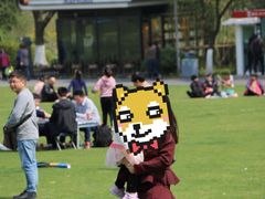 -昆山城市生态森林公园