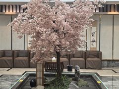-添赐温泉馆(上南路店)