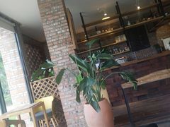 -远山有窑