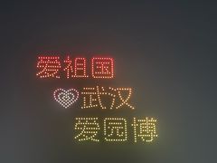 -武汉园博园(武汉自然博物馆)