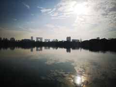 -海珠湖公园