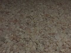 -纽斯桑拿会所(天山店)