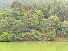 -广州白江湖森林公园