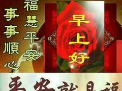 -海底捞火锅(龙岗星河COCO Park店)