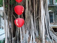 -荔湾湖公园