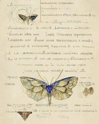 -Oasis Beauty水磨坊科技美肤中心