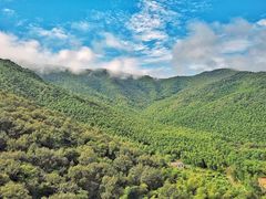 -陶祖圣境风景区