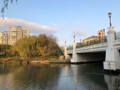 -新江湾城公园