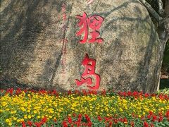 -野狸岛
