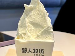 -野人牧坊Gelato(天津南开大悦城店)