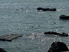 -西涌国际滨海旅游区