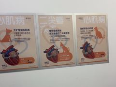 -派特宠物医院(圆融广场店)