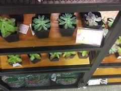 -G-Super 绿地优选(徐汇绿地缤纷城店)