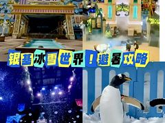 -郑州银基冰雪世界