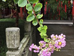 -丰都鬼城名山景区