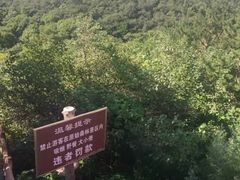 -大青沟风景区