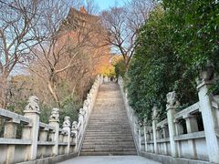 -阅江楼风景区