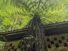 -赤水丹霞旅游区·大瀑布