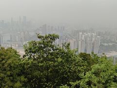 -南山植物园