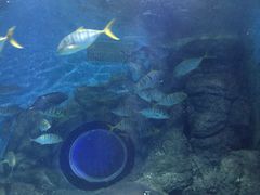 -常州海昌海洋探索馆