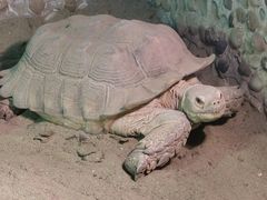 -上海大自然野生昆虫馆