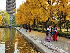 -玲珑塔公园