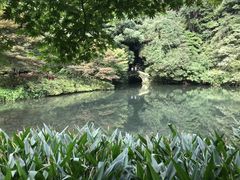 -钱江新城灯光秀