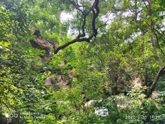-南京金牛湖风景区