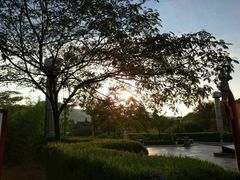 -中原农家乐(中原饭店)