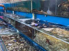 -港畔赶海蒸汽海鲜烧烤自助(仙螺岛店)