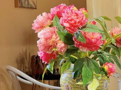 -宫事颐庭·老佛爷贵寿下午茶(颐和园店)