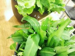 生菜-就这么牛潮式牛肉火锅(华侨城店)