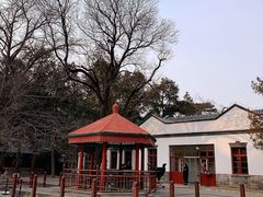 -香山公园