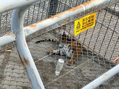 -大青山野生动物园