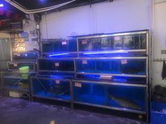 -八仔大富楼·河鲜(西江店)