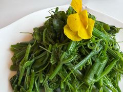 炝拌丝瓜尖-鸿宾楼(展览馆路店)