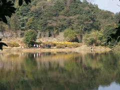 -广州市石门国家森林公园